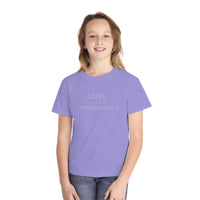 Love Doesn’t Count Chromosomes Comfort Colors Youth Midweight Tee