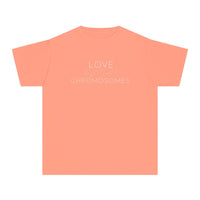 Love Doesn’t Count Chromosomes Comfort Colors Youth Midweight Tee