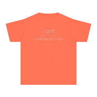 Love Doesn’t Count Chromosomes Comfort Colors Youth Midweight Tee