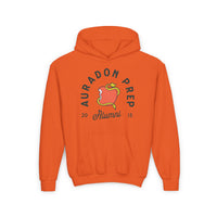Auradon Prep Alumni Gildan Youth Heavy Blend Hooded Sweatshirt
