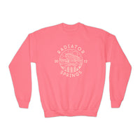 Radiator Springs Gildan Youth Crewneck Sweatshirt