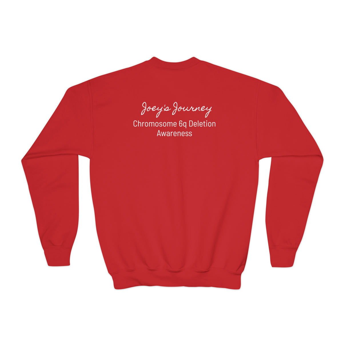 Joey's Journey Chromosome 6q Deletion Awareness Gildan Youth Crewneck Sweatshirt