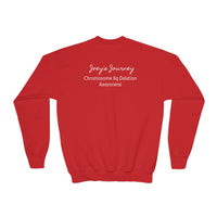 Joey's Journey Chromosome 6q Deletion Awareness Gildan Youth Crewneck Sweatshirt