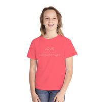 Love Doesn’t Count Chromosomes Comfort Colors Youth Midweight Tee