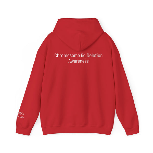 Joey's Journey Chromosome 6q Deletion Awareness Gildan Unisex Heavy Blend™ Hooded Sweatshirt