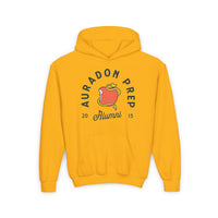 Auradon Prep Alumni Gildan Youth Heavy Blend Hooded Sweatshirt