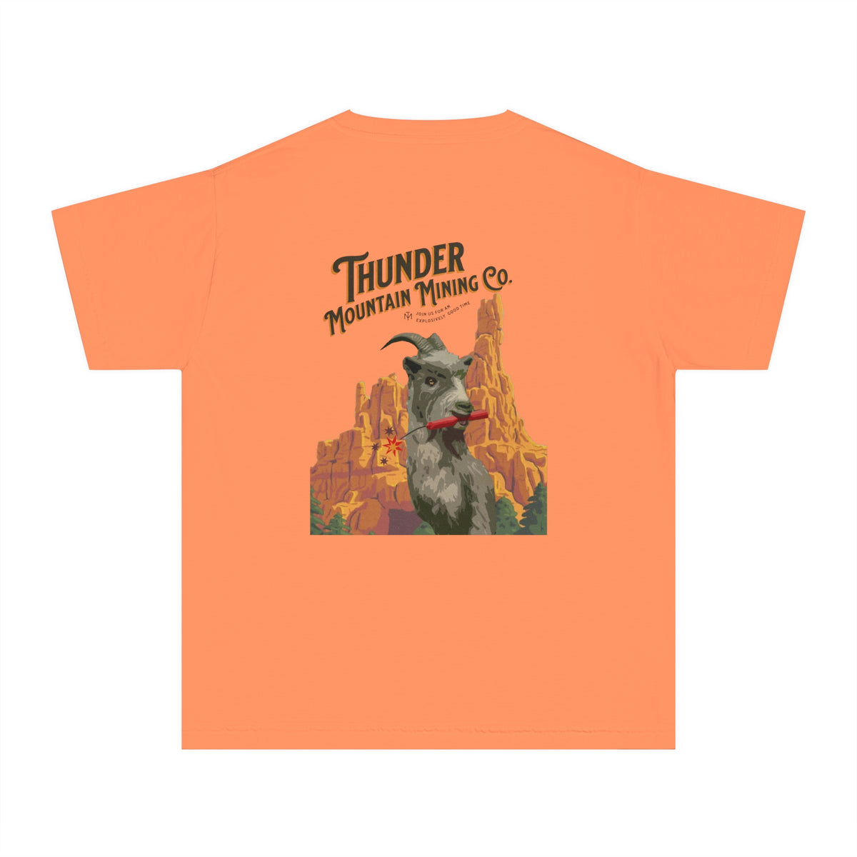 Thunder Mountain Mining Co. Comfort Colors Youth Midweight Tee
