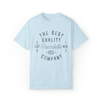 Arendelle Ice Company Comfort Colors Unisex Garment-Dyed T-shirt