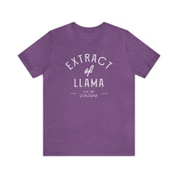 Extract of Llama Bella Canvas Unisex Jersey Short Sleeve Tee