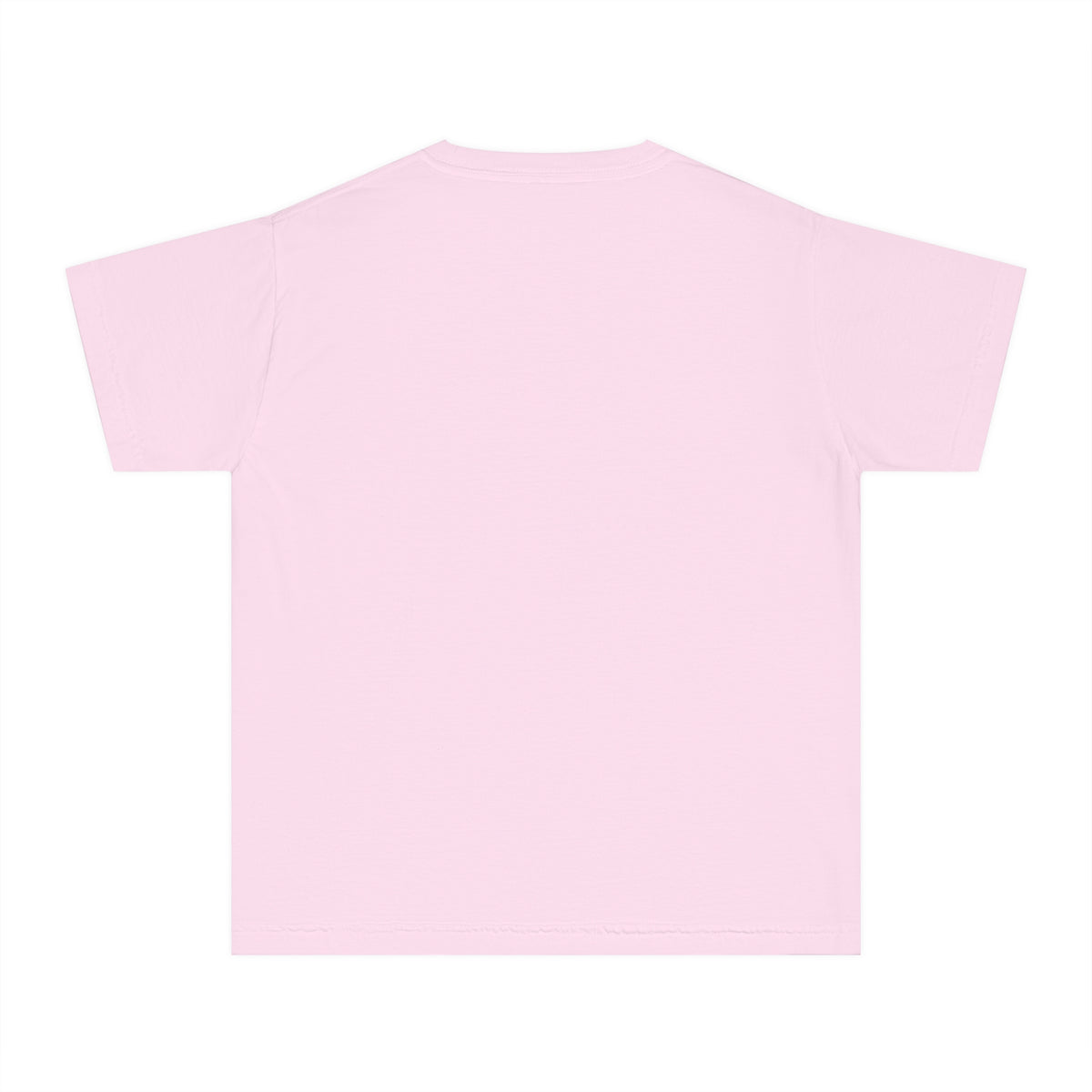 The Wildest Ride In The Wilderness Comfort Colors Youth Midweight Tee