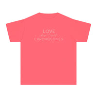 Love Doesn’t Count Chromosomes Comfort Colors Youth Midweight Tee