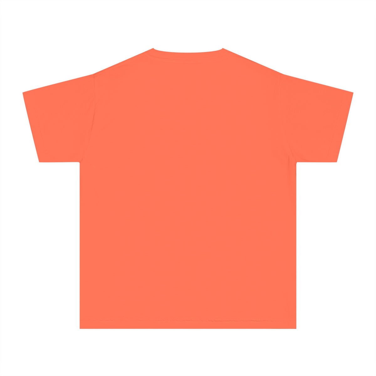 The Wildest Ride In The Wilderness Comfort Colors Youth Midweight Tee