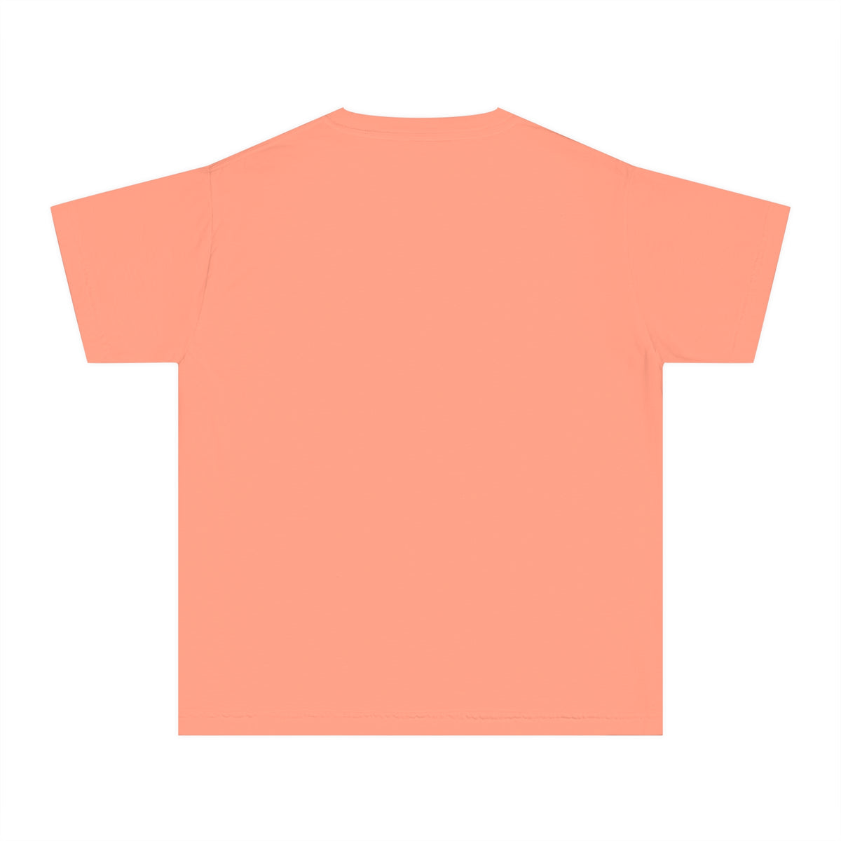 The Wildest Ride In The Wilderness Comfort Colors Youth Midweight Tee