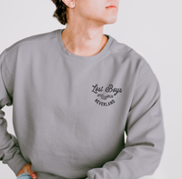 Bangarang Unisex Lightweight Comfort Colors Crewneck Sweatshirt