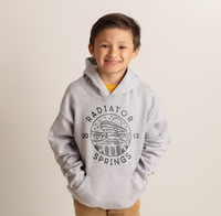 Radiator Springs Gildan Youth Heavy Blend Hooded Sweatshirt