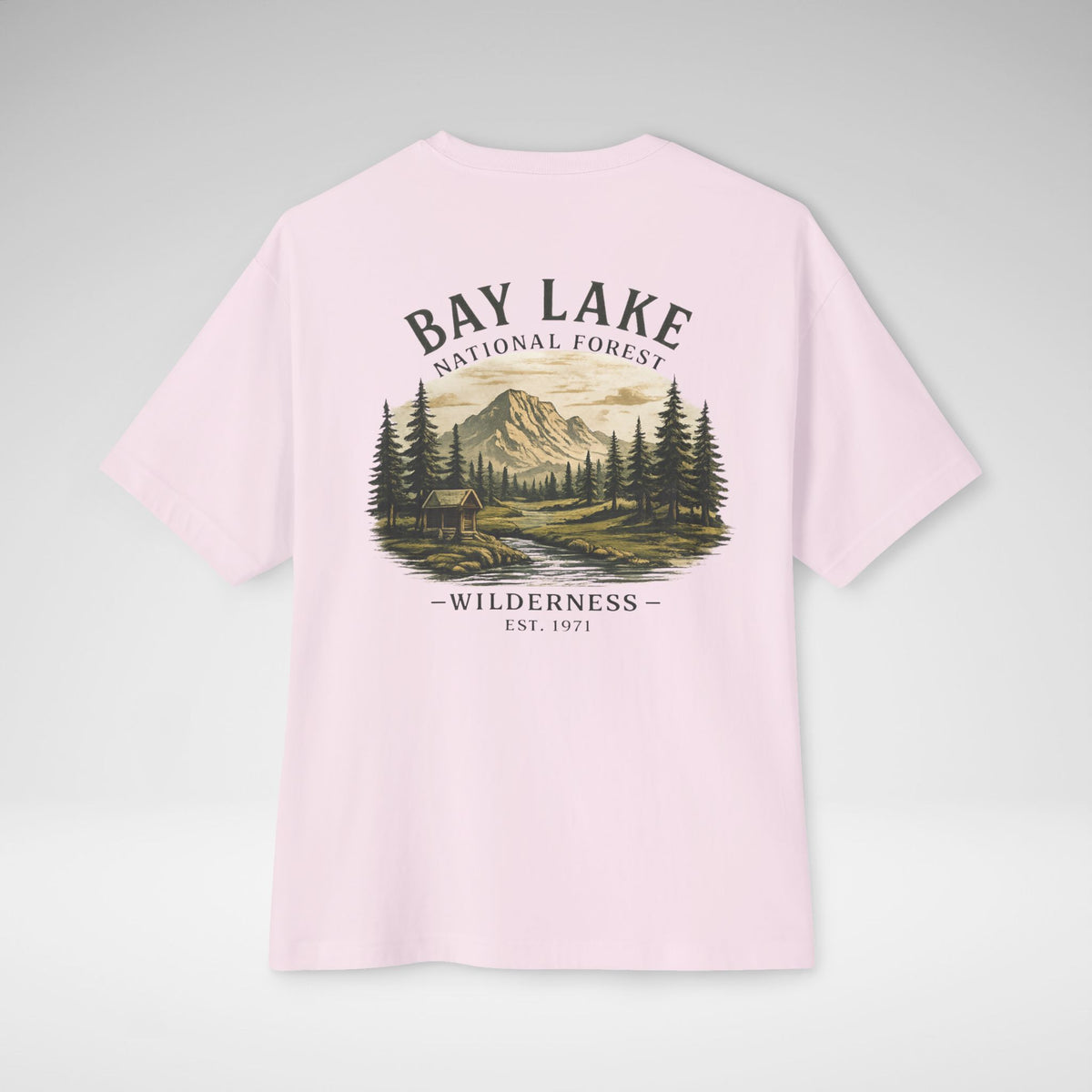 Bay Lake National Forest Oversized Tee