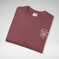 Carbonite Porter Cold Brew Comfort Colors Unisex Garment-Dyed T-shirt