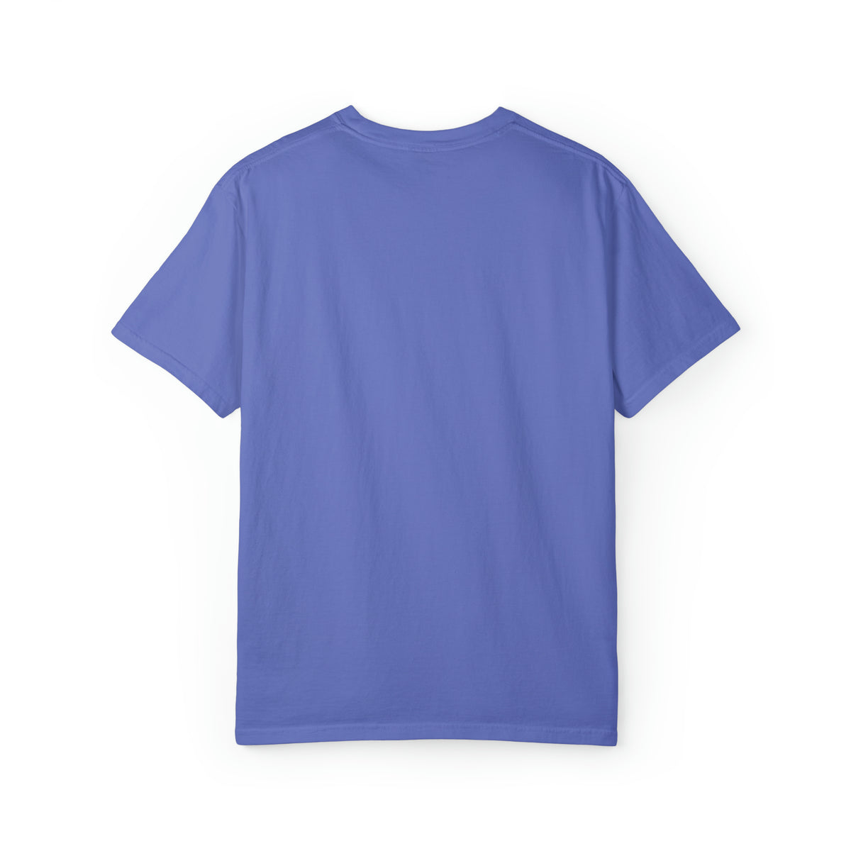 Practically Perfect Comfort Colors Unisex Garment-Dyed T-shirt