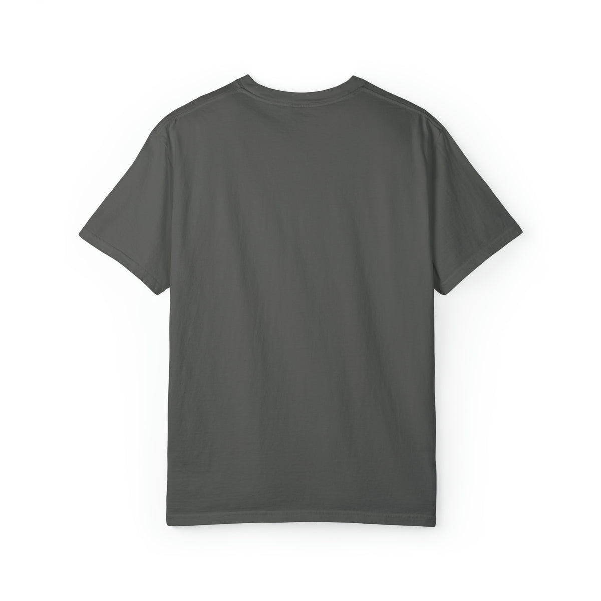 Practically Perfect Comfort Colors Unisex Garment-Dyed T-shirt