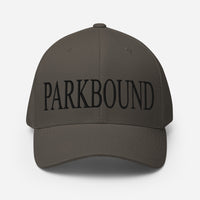Parkbound Structured Twill Cap