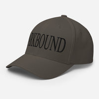 Parkbound Structured Twill Cap