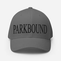 Parkbound Structured Twill Cap