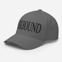 Parkbound Structured Twill Cap