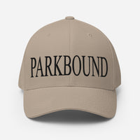 Parkbound Structured Twill Cap