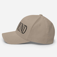 Parkbound Structured Twill Cap