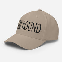 Parkbound Structured Twill Cap
