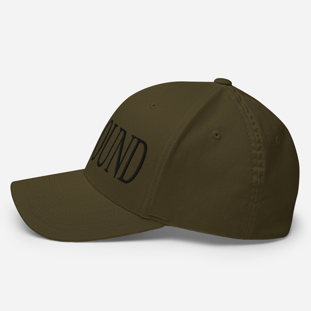 Parkbound Structured Twill Cap
