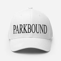 Parkbound Structured Twill Cap