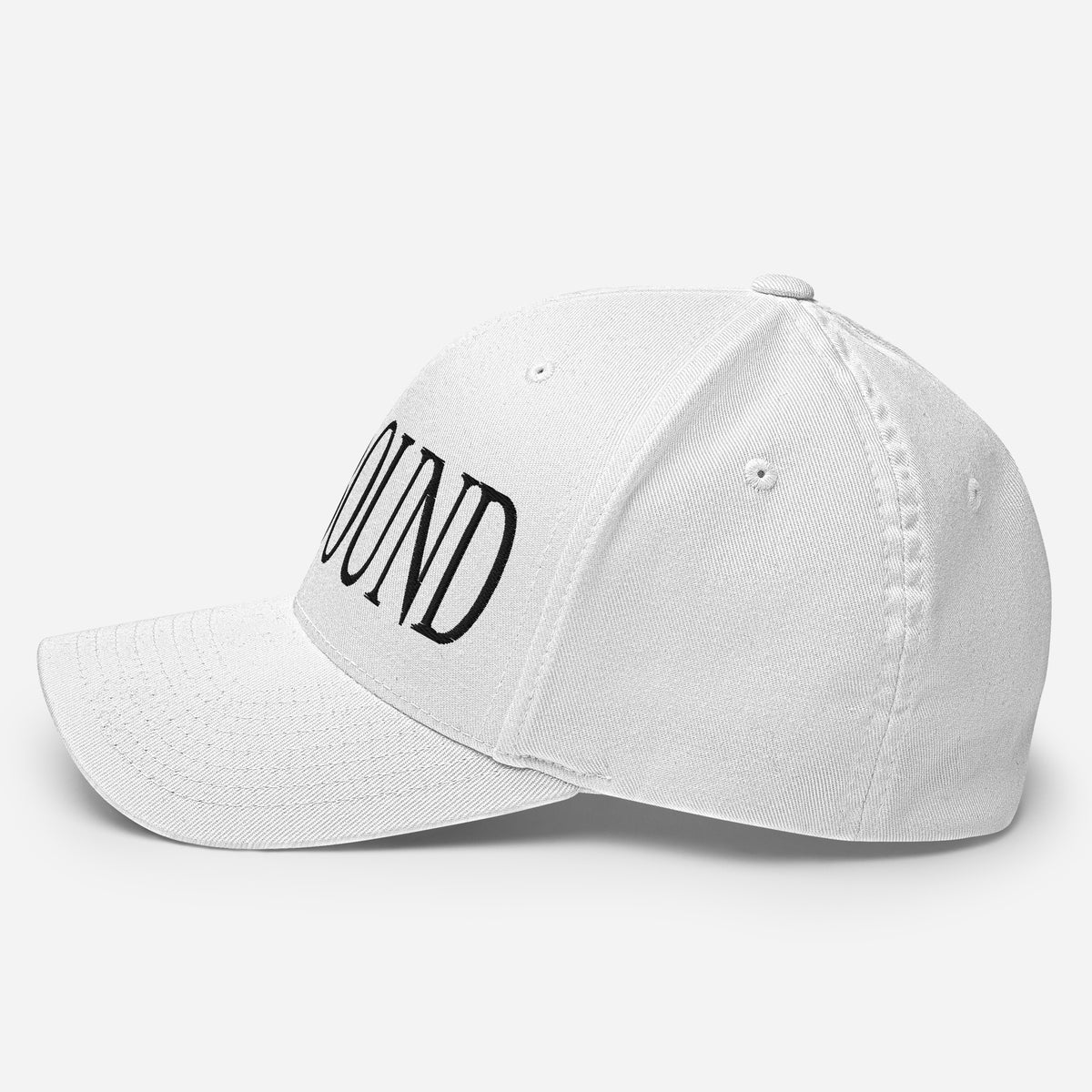Parkbound Structured Twill Cap